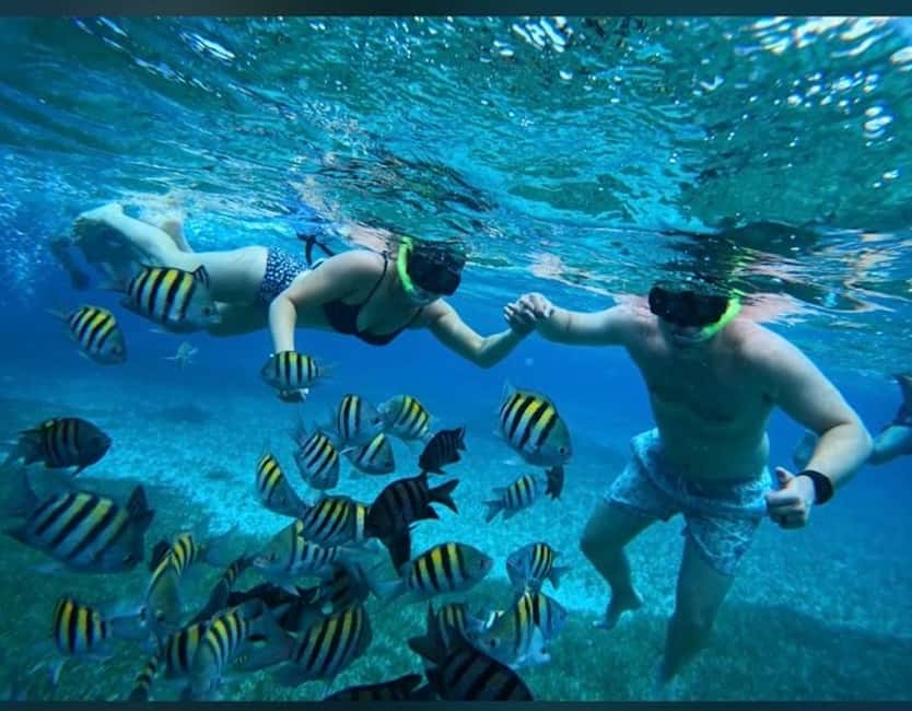 Cozumel: snorkeling on reefs + visit to "El Cielo" - Why these Cozumel reefs are worth your time