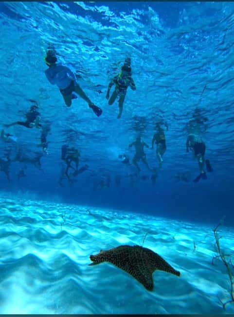 Cozumel: snorkeling on reefs + visit to "El Cielo" - Palancar Reef and the first look below the surface