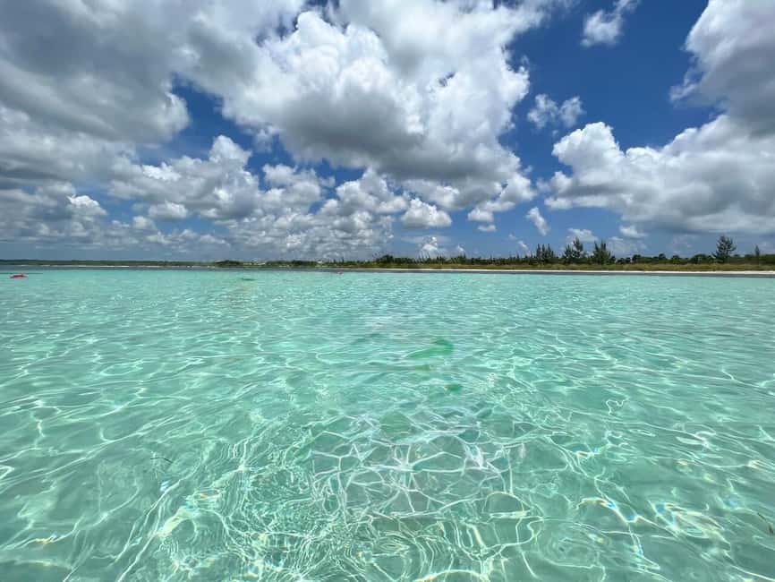 Cozumel: snorkeling on reefs + visit to "El Cielo" - El Cielo: starfish, shallow water, and open sky