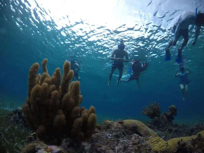Cozumel: snorkeling on reefs + visit to "El Cielo" - Ceviche, drinks, and the social side of the boat