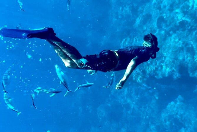 Cozumel Snorkeling Reef Experience with Ceviche and Beers - Ceviche, totopos, and beer on the water