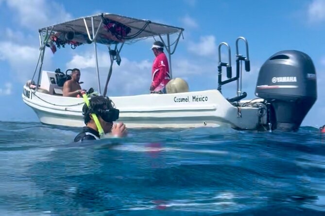Cozumel Snorkeling Reef Experience with Ceviche and Beers - What the $129 price means for your group