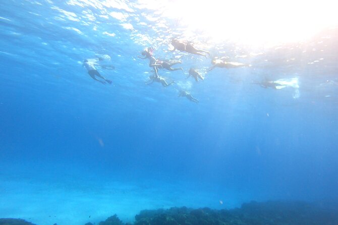 Cozumel Snorkeling Reef Experience with Ceviche and Beers - Who will enjoy this Cozumel outing most