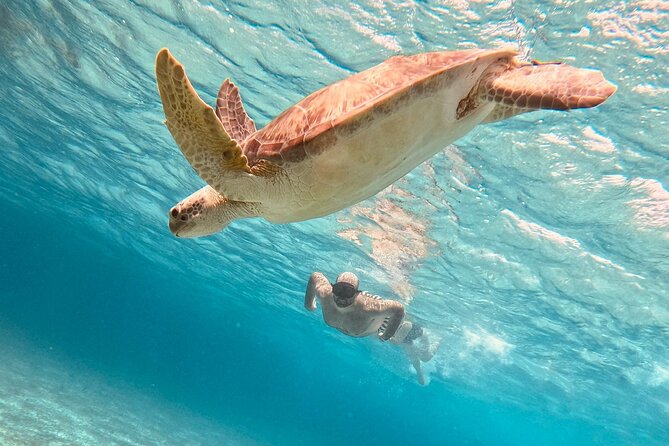 Cozumel: Snorkeling to El Cielo & Cielito with drinks & Snack - Key points to know before booking
