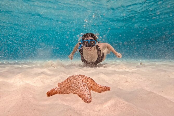 Cozumel: Snorkeling to El Cielo & Cielito with drinks & Snack - Why El Cielo is the main event