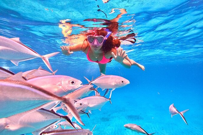 Cozumel: Snorkeling to El Cielo & Cielito with drinks & Snack - The boat ride and group size affect comfort