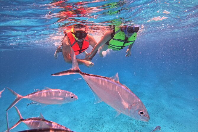 Cozumel: Snorkeling to El Cielo & Cielito with drinks & Snack - Timing, meeting point, and cancellation details