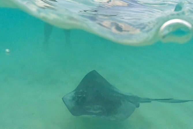 Cozumel: Snorkeling to El Cielo & Cielito with drinks & Snack - Cielito turns lunch into part of the experience