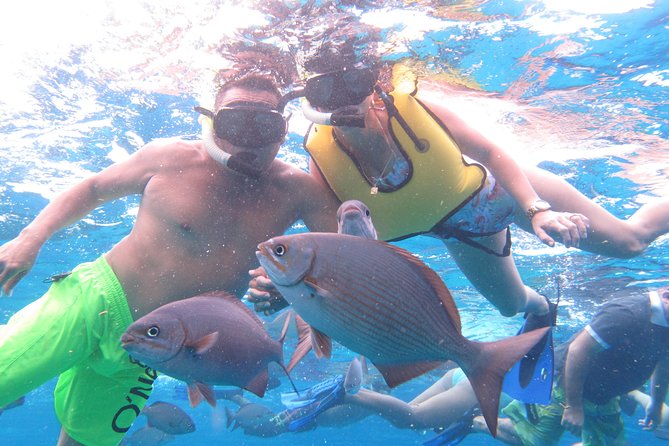 Cozumel Snorkeling Tour at Palancar & Colombia Reefs and El Cielo - The crew can make or break the outing