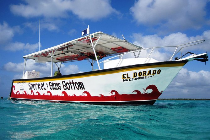 Cozumel Snorkeling Tour at Palancar & Colombia Reefs and El Cielo - What to bring and who can participate