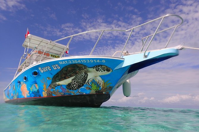 Cozumel Snorkeling Tour at Palancar & Colombia Reefs and El Cielo - Palancar Reef offers the most varied underwater scenery