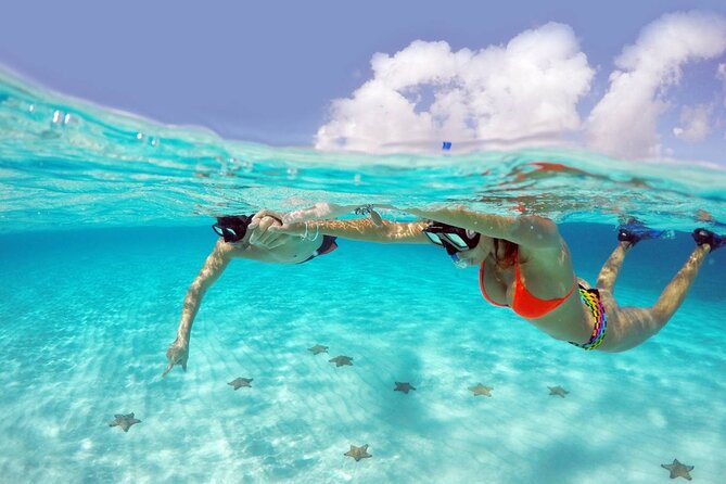 Cozumel Snorkeling Tour: Palancar, Columbia and El Cielo Reefs - Key points to know before you book