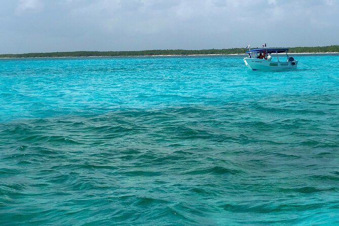 Cozumel Snorkeling Tour: Palancar, Columbia and El Cielo Reefs - Why Palancar, Columbia, and El Cielo make a sensible route