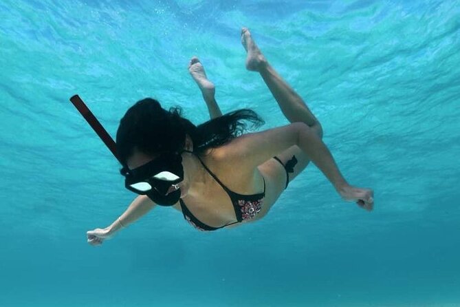 Cozumel Snorkeling Tour: Palancar, Columbia and El Cielo Reefs - El Cielo changes the pace with shallow water and starfish