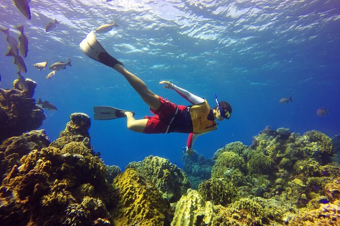 Cozumel Snorkeling Tour: Palancar, Columbia and El Cielo Reefs - Drinks, shade, and gear make the short tour easier