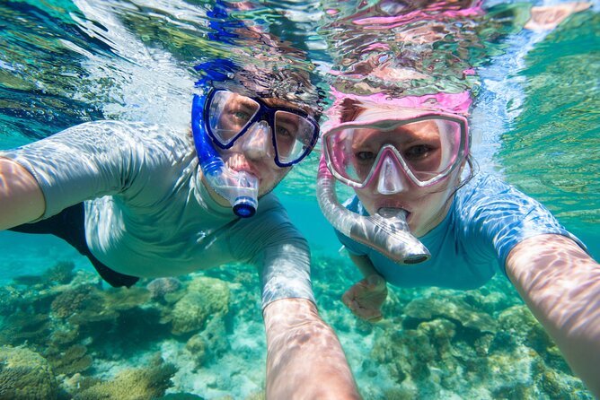 Cozumel Snorkeling Tour to Palancar Reef and El Cielo - What your morning on Cozumel looks like