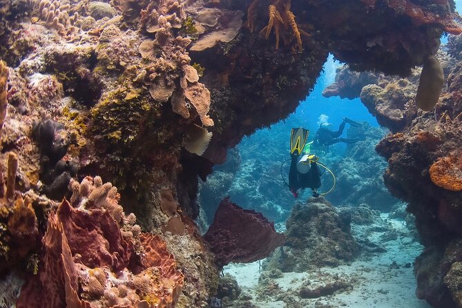 Cozumel underwater 2 Tank Dive by boat - Why Cozumel’s two-reef format works so well