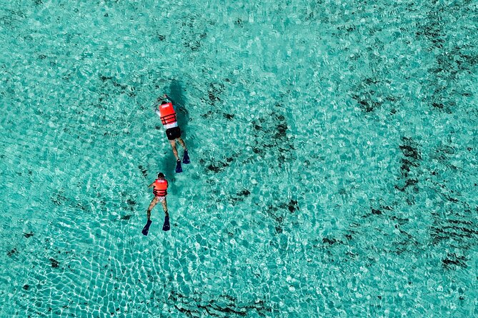 Cozumel: VIP Access Pass at KUZÁ Beach & Adventure Park - Lunch, snacks, and what the open bar covers