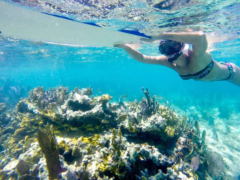 Cozumel: West Coast E-Bike and Snorkeling Tour - Riding south on Cozumel’s coastal track