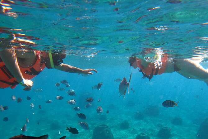 Crystal Boat Tour with Snorkeling and Drinks in Cozumel - What the $47.61 price covers