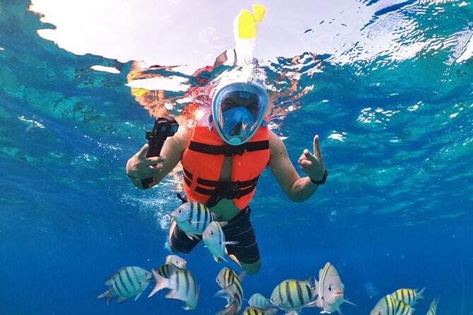Crystal Boat Tour with Snorkeling and Drinks in Cozumel - Weather, cancellations, and sensible planning