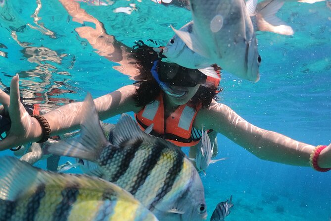 Crystal Boat Tour with Snorkeling and Drinks in Cozumel - Seeing Cozumel through the clear boat