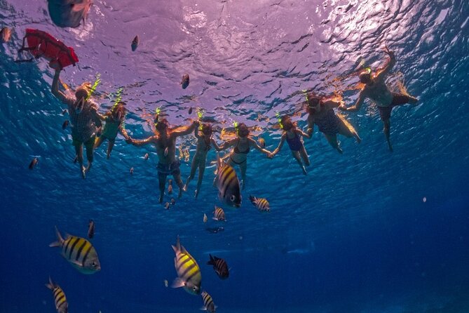 Crystal Boat Trip and Snorkeling Tour from Cozumel - Who should book this Cozumel boat trip?