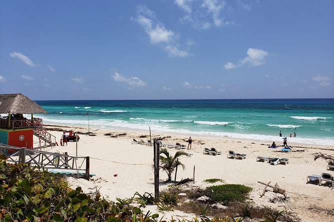 Customizable Private Buggy Tour in Cozumel with Lunch and Snorkel - Lunch and snorkeling at Money Bar Beach Club
