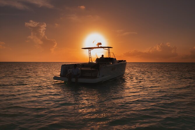 Deluxe Private Boats - 36 ft Fjord - Captain Donny, Alejandro, and the Private-Group Advantage