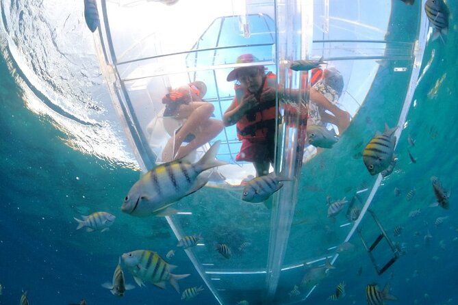 Discover Cozumel in a Transparent Boat! - Key points to know before booking