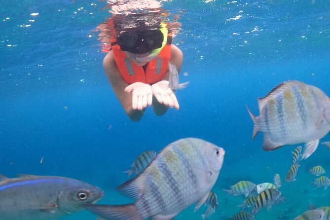 Discover Cozumel in a Transparent Boat! - Finding Nudo Marineri in central Cozumel