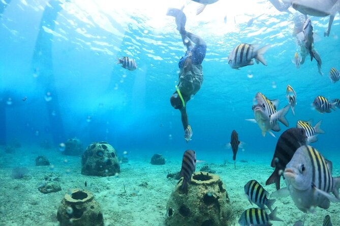 Discover Cozumel in a Transparent Boat! - Who will get the most from this short outing