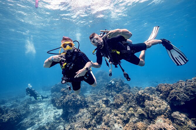 Discover Diving in the Reefs of Cozumel - Taking the Boat to Paraiso Reef