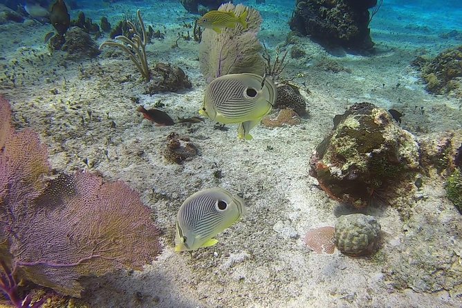 Discover Scuba Diving - The instructors are the biggest strength