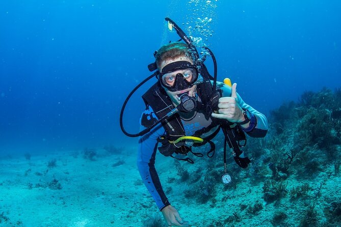 Discover Scuba Diving at Cozumel Marine Park - Two shallow sessions from La Luciana