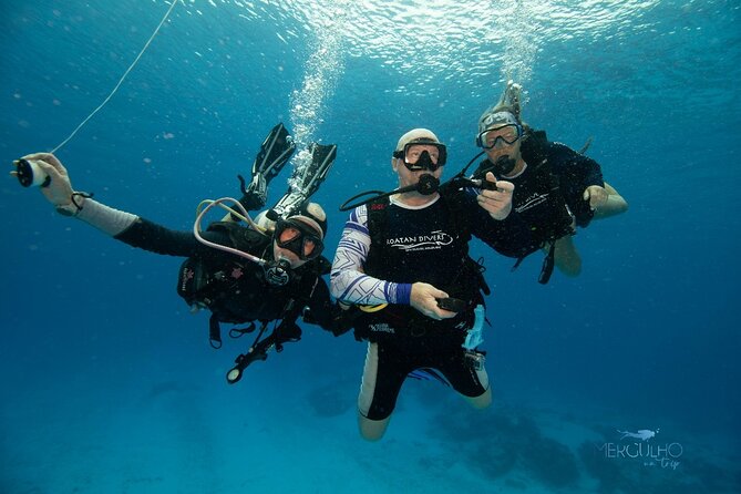 Discover Scuba Diving in Cozumel - Practicing safety skills in 3 to 4 feet of water