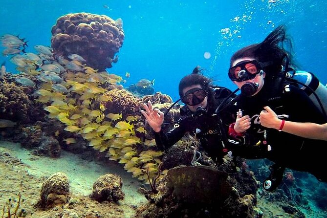 Discover Scuba Diving in Cozumel Paradise Reef - Shallow-water practice comes before the reef