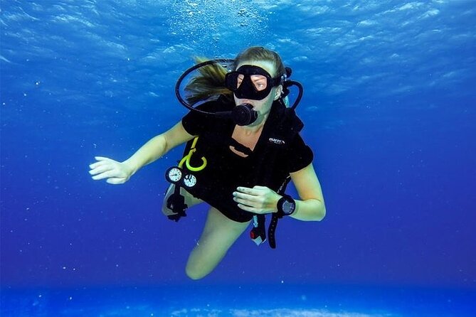 Discover Scuba Diving in Cozumel Paradise Reef - First session: Paradise Shallows for 30 to 45 minutes