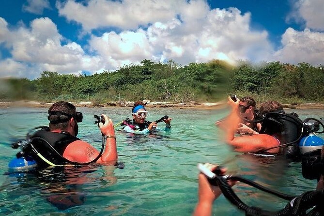 Discover Scuba Diving in Cozumel Paradise Reef - Second session: a longer look at Paradise Reef