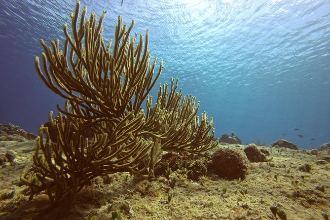 Discover Scuba Diving - From the shop to Tikila Beach