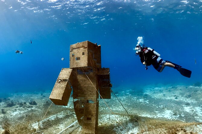 Diving For People Without Experience - Getting to Sand Dollar Sports