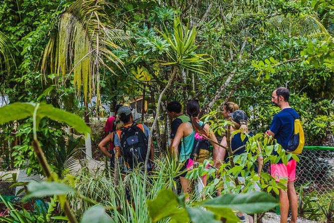 E-Bike Adventure in Cozumel - West Side Ride N' Snorkel - Guides make the biggest difference