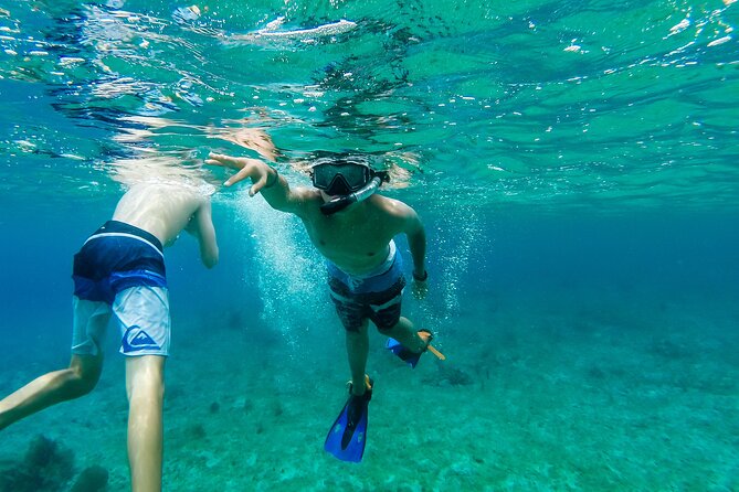 E-bike West Coast Snorkeling Tour - Skyreef Beach Club and the one-and-a-half-hour water stop