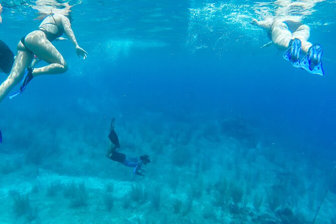 E-bike West Coast Snorkeling Tour - Is $73 a fair price?
