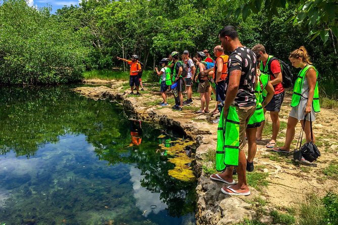 E-bike West Coast Snorkeling Tour - What the guide can change