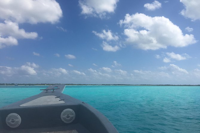 El Cielo and Snorkel Private Excursion - Why a private boat can be worth $750