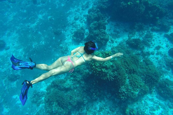 El Cielo and Snorkel Private Excursion - The guides can make a big difference