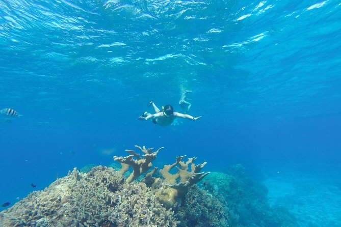 El Cielo and Snorkel Private Excursion - Weather, cancellation, and timing choices