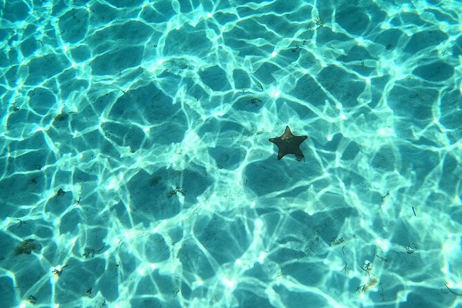 El Cielo and Snorkeling for Cruise Ship Passengers - El Cielito turns the final stop into a break