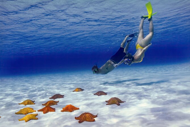 El Cielo Cozumel Snorkel Private Boat + Food + Drinks + Beach - Why This Private Cozumel Boat Trip Works